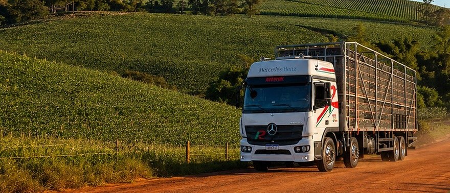 Caminhão da Rodovini em estrada de terra entre lavouras