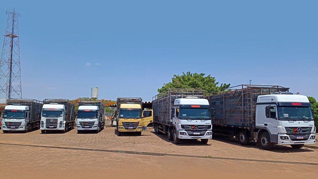 Seis caminhões da Rodovini estacionados lado a lado no pátio